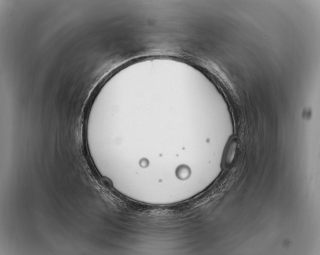 X0000098091268200805021037