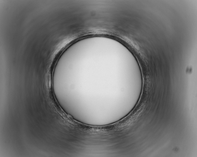 X0000098091269200805021037