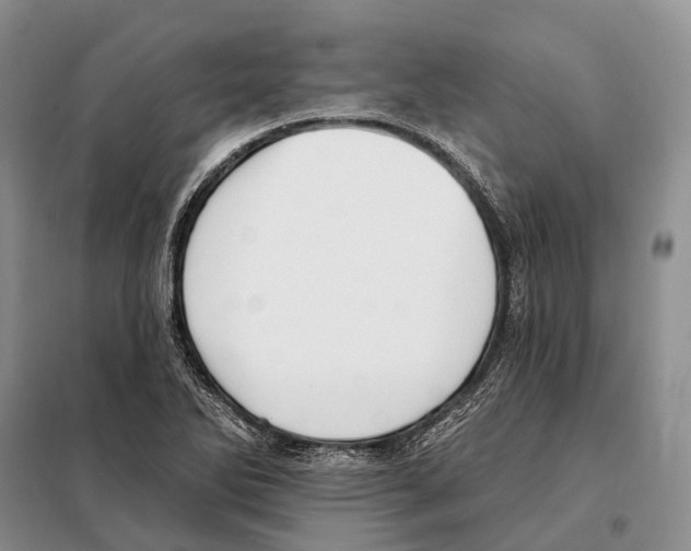 X0000098091270200805021037