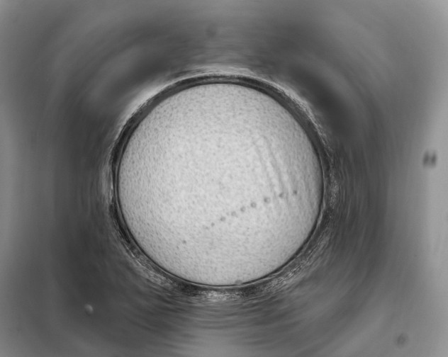 X0000098091271200805021037