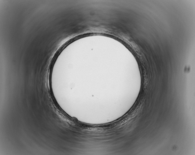 X0000098091272200805021037