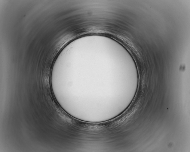 X0000098091273200805021037