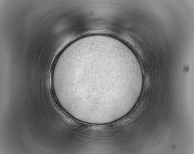 X0000098091274200805021037