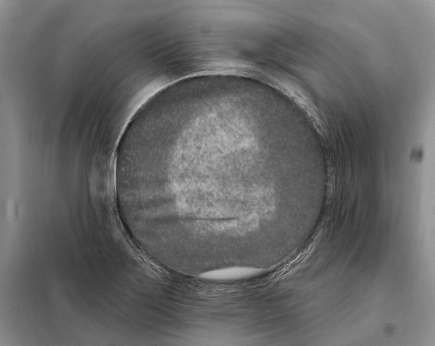 X0000098091275200805021037