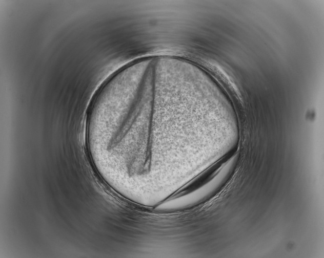 X0000098091276200805021037