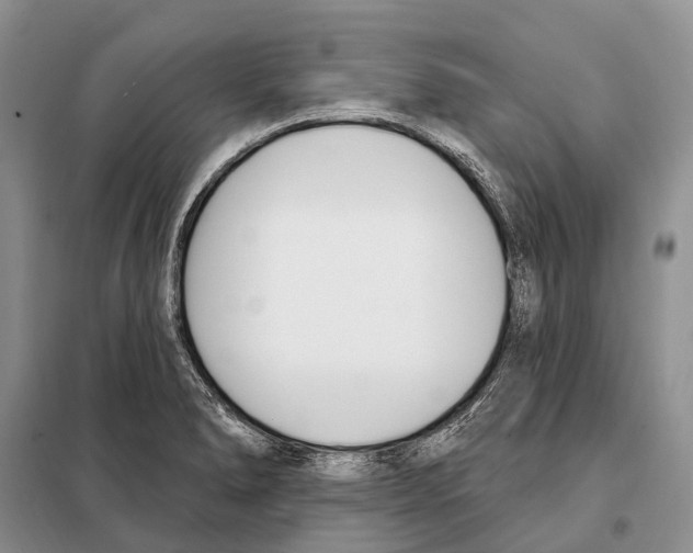 X0000098091278200805021037