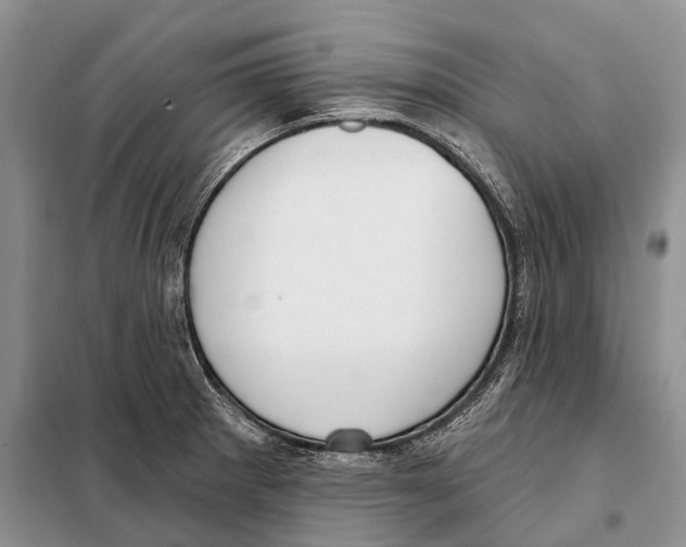 X0000098091281200805021037