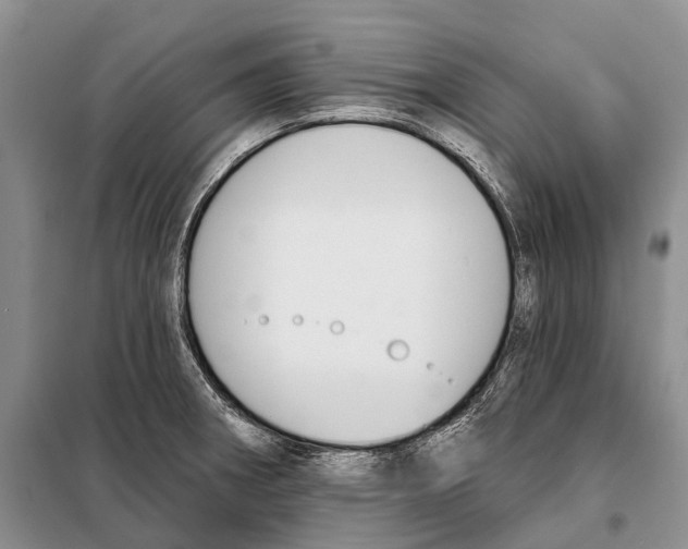 X0000098091282200805021037