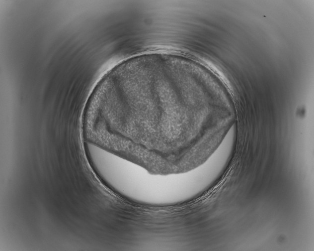 X0000098091283200805021037