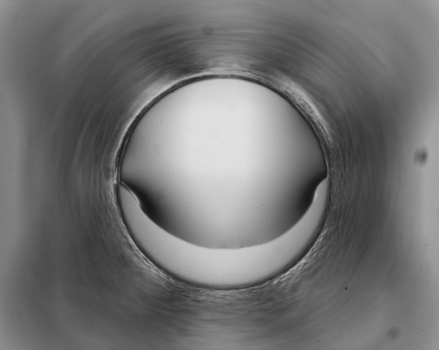 X0000098091284200805021037