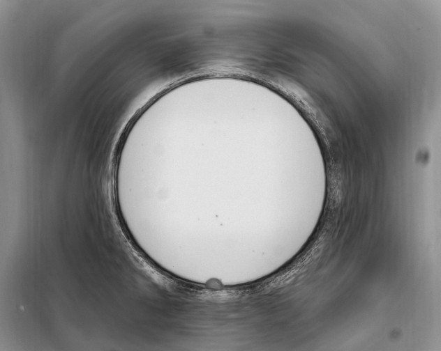 X0000098091286200805021037