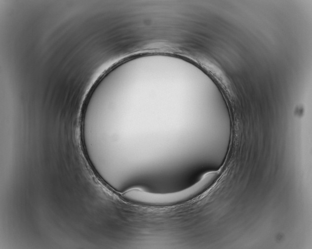 X0000098091288200805021037