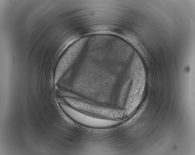 X0000098091289200805021037