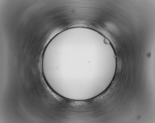 X0000098091290200805021037