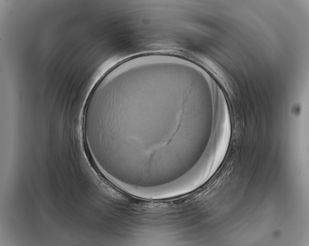 X0000098091291200805021037