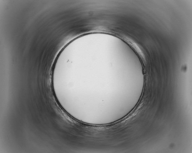 X0000098091292200805021037