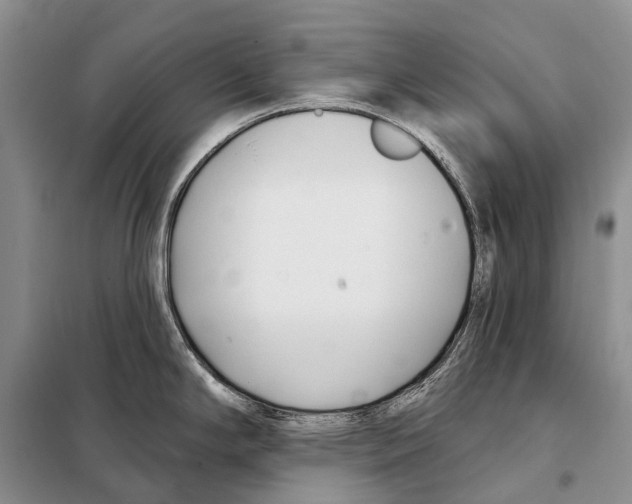 X0000098091294200805021037