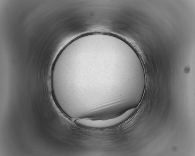 X0000098091295200805021037