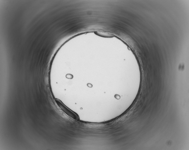 X0000098091296200805021037