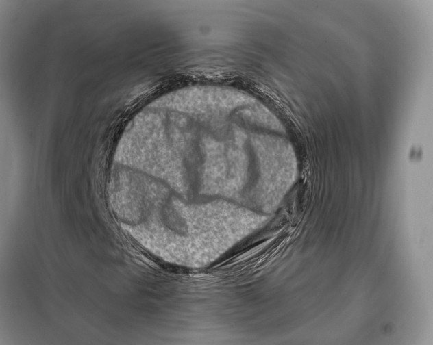 X0000098091297200805021036