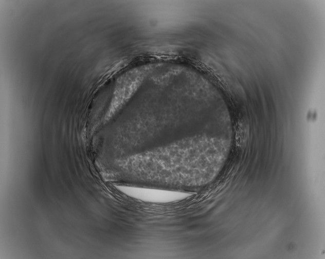 X0000098091298200805021036