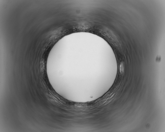 X0000098091299200805021036