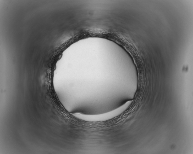 X0000098091301200805021036