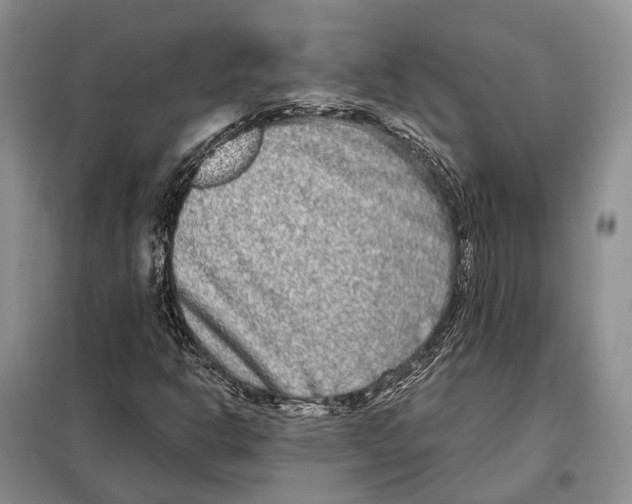 X0000098091302200805021036