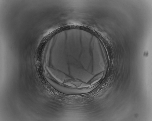 X0000098091303200805021036