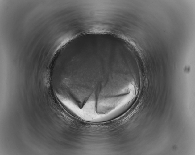 X0000098091306200805021036