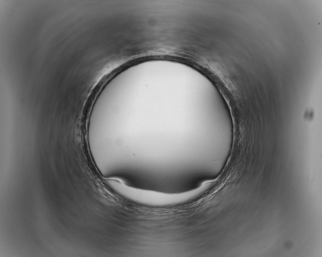 X0000098091308200805021036