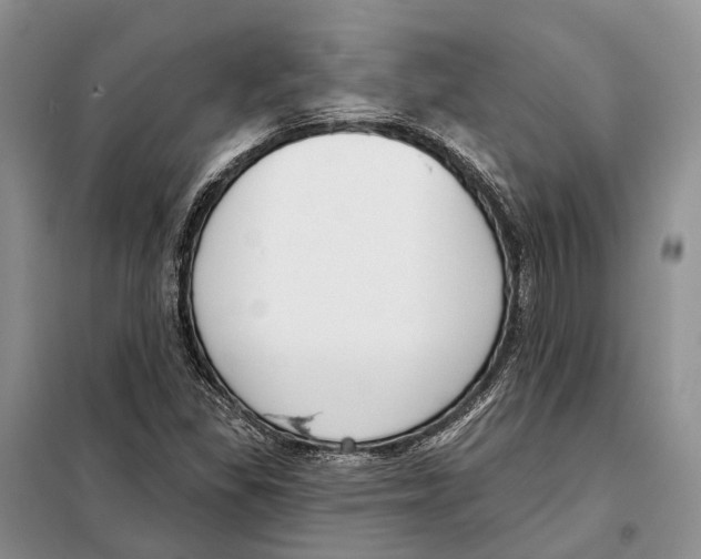 X0000098091309200805021036