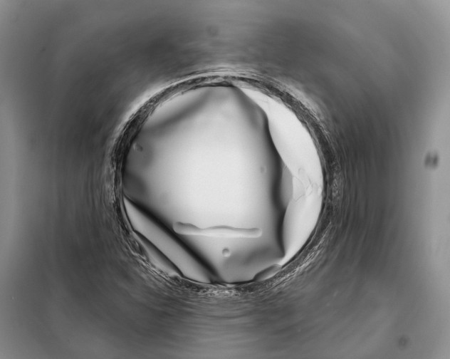 X0000098091310200805021036