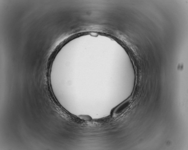 X0000098091312200805021036