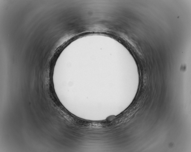 X0000098091315200805021036