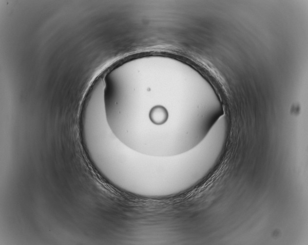 X0000098091316200805021036