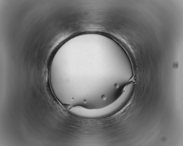 X0000098091317200805021036