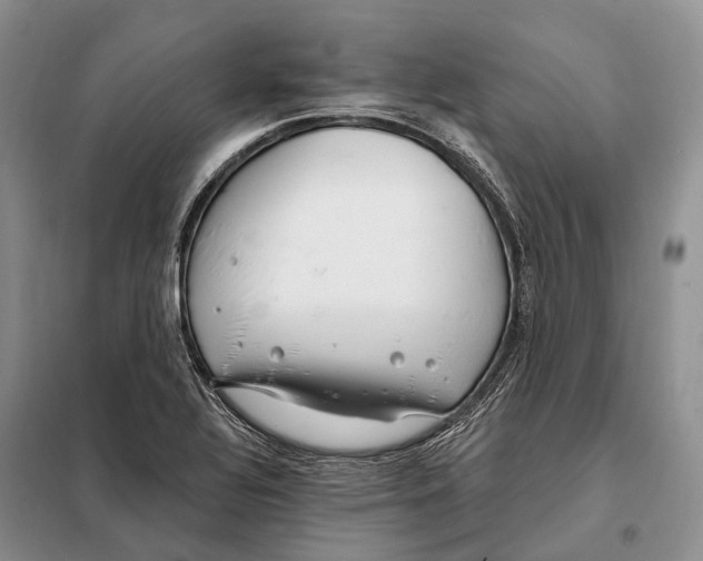 X0000098091320200805021036