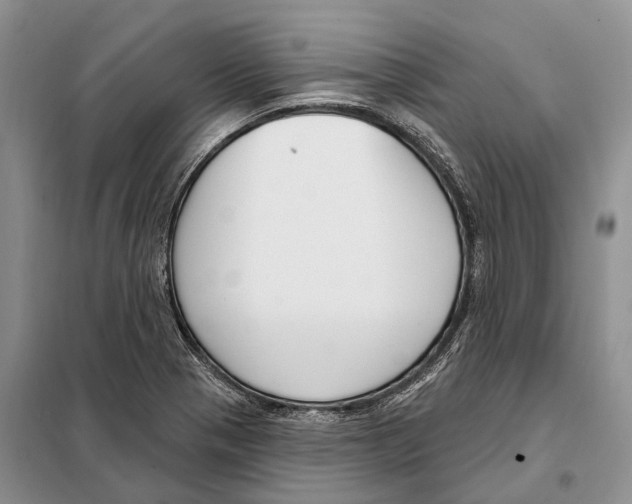 X0000098091321200805021036