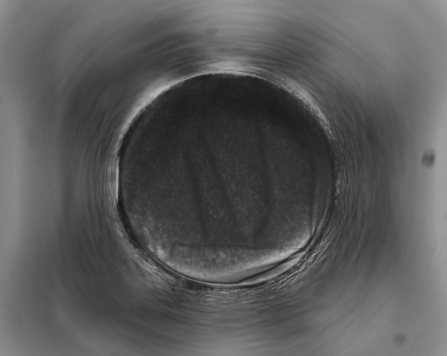 X0000098091323200805021036