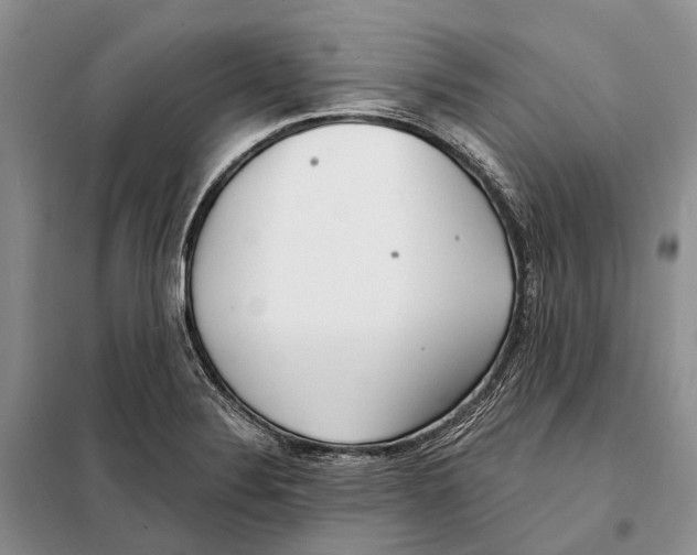 X0000098091324200805021036