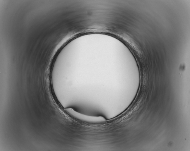 X0000098091325200805021036