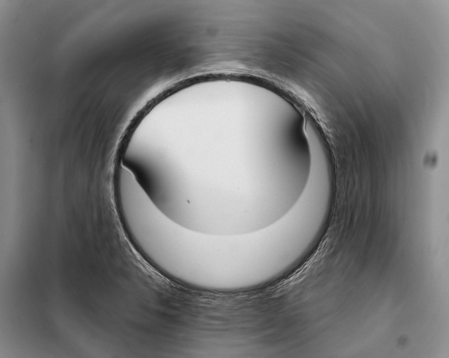 X0000098091326200805021036