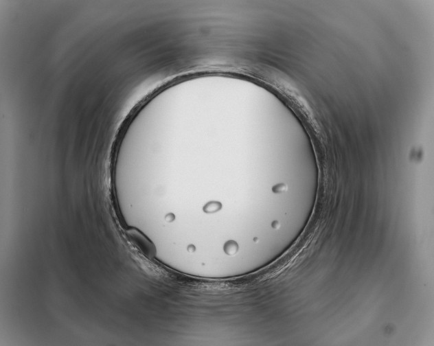 X0000098091328200805021037