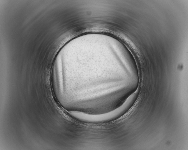 X0000098091329200805021037