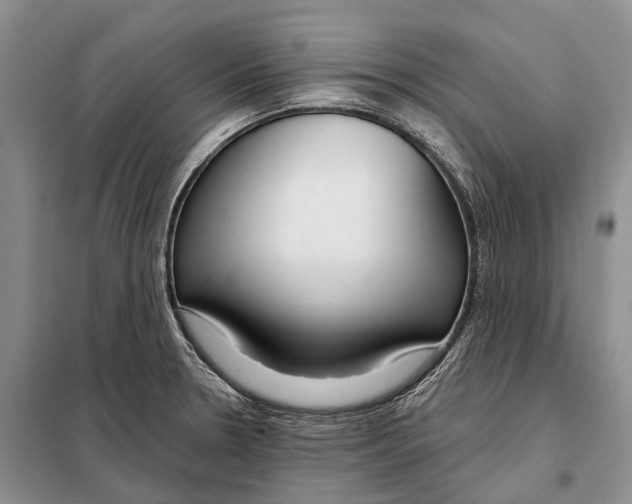 X0000098091330200805021037