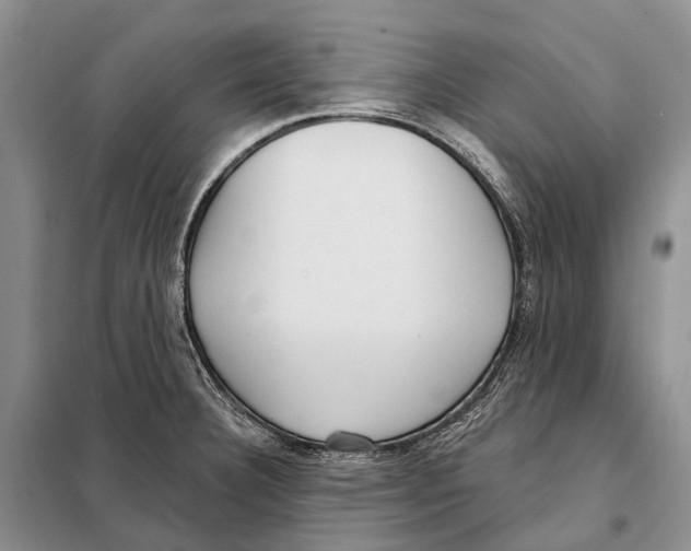 X0000098091332200805021037