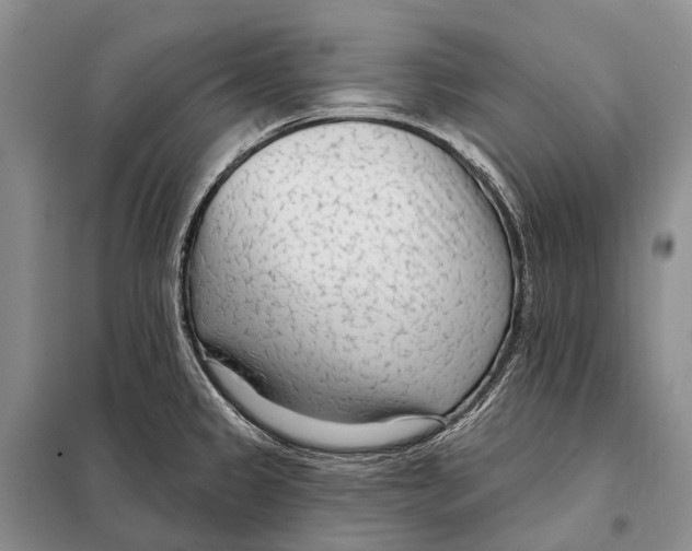 X0000098091333200805021037