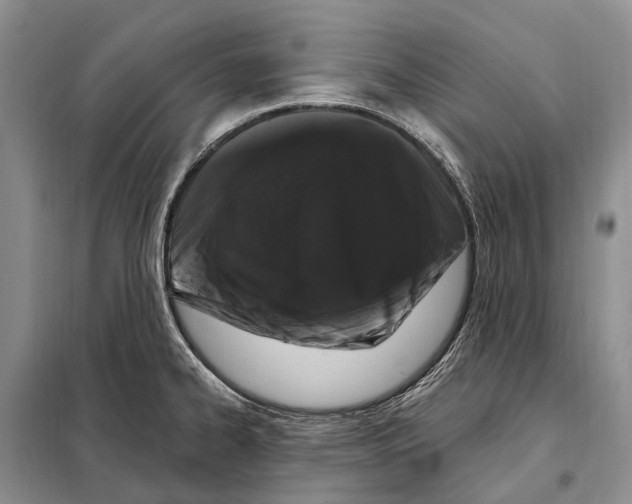 X0000098091334200805021037