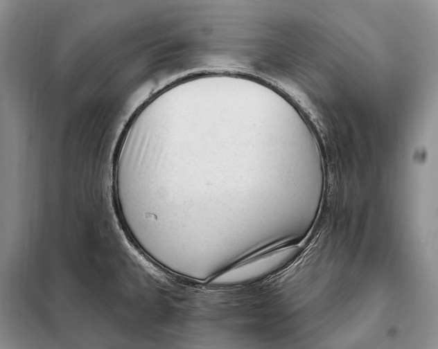 X0000098091335200805021037